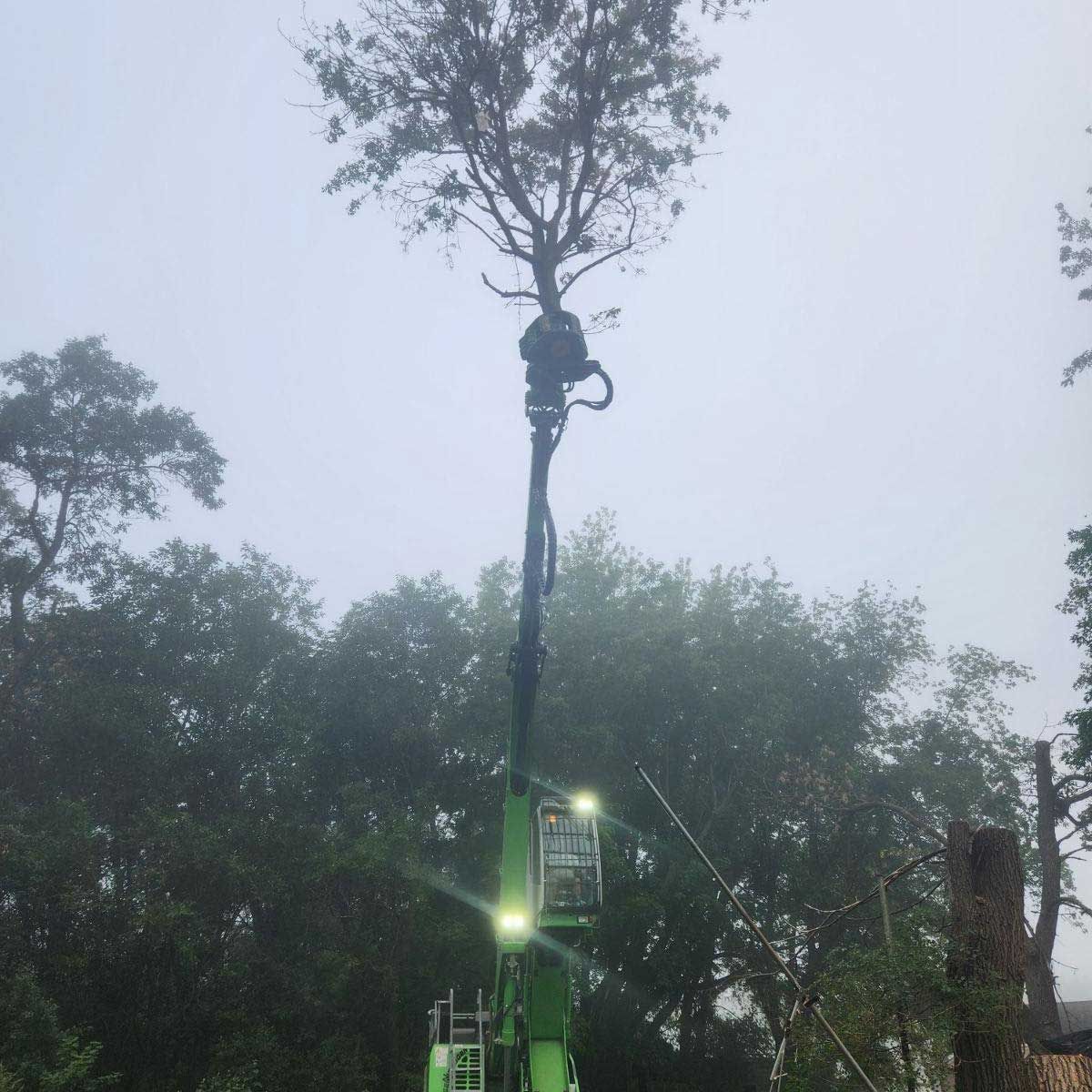 A tree being trimmed by a lift, with overcast skies in the background. Green lift has bright headlights.