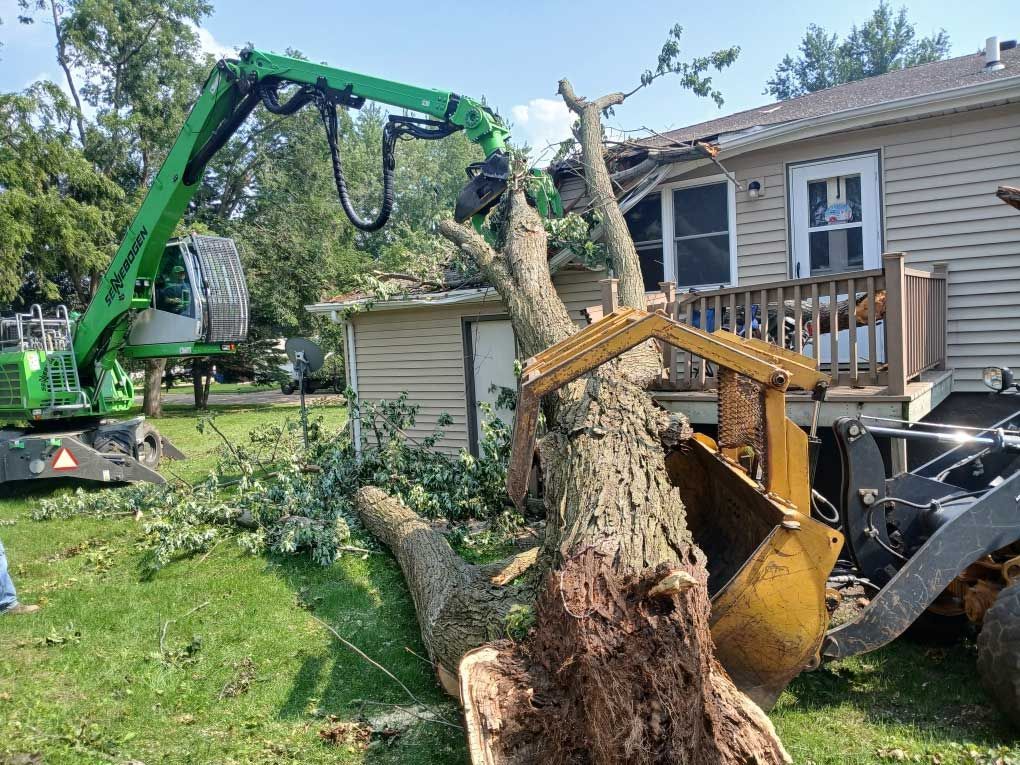 A green forestry machine is cutting a tree near a house with damage to the roof and a shed.