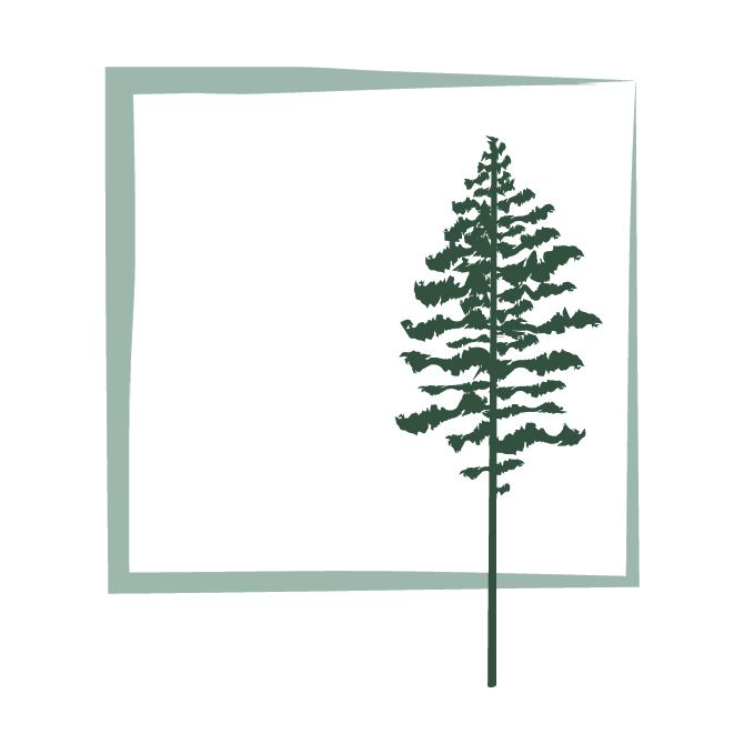 Schwebach Tree Service