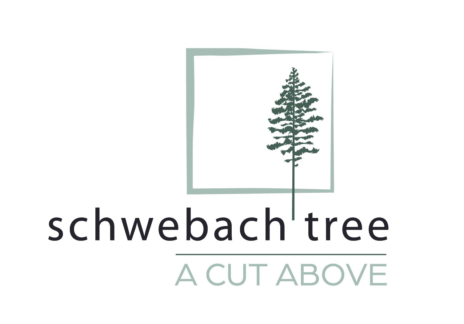 Schwebach Tree Service - logo