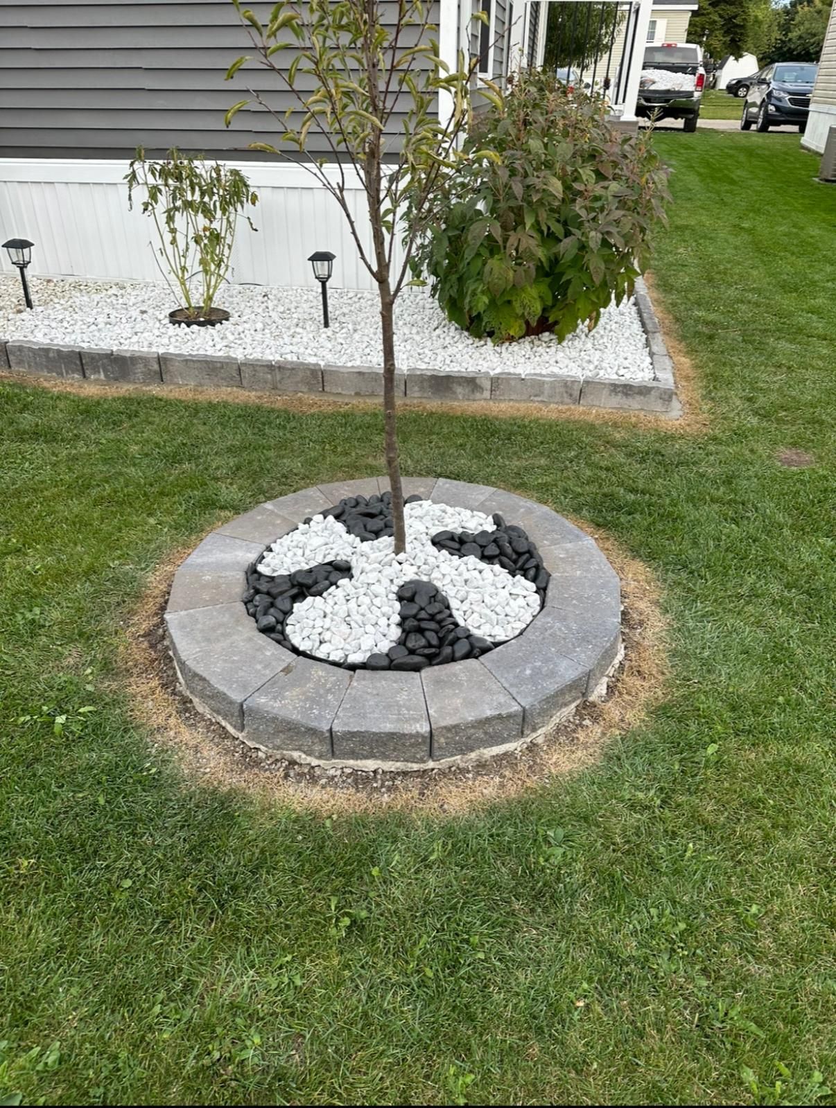 A circular stone tree ring surrounds a young tree, featuring a decorative pattern of white and black landscape stones.