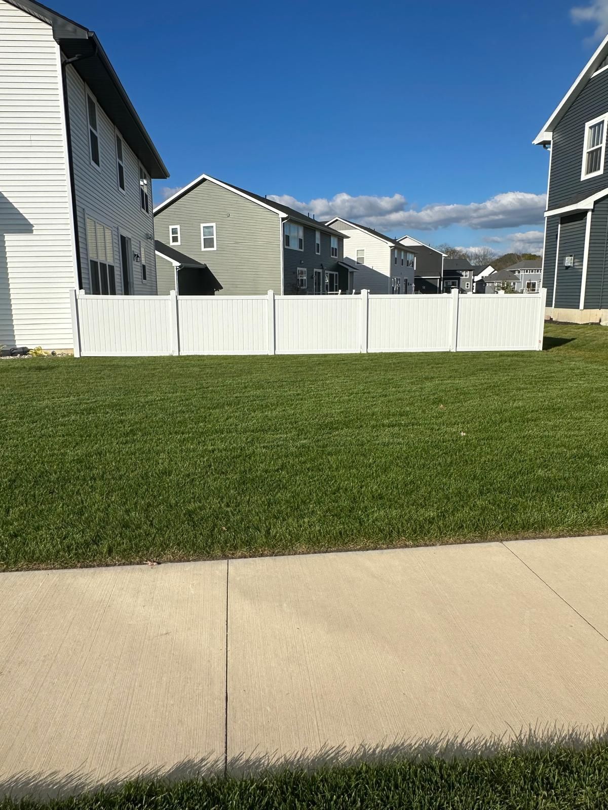 A bright, grassy residential backyard enclosed by a white vinyl fence, with suburban houses in the background.