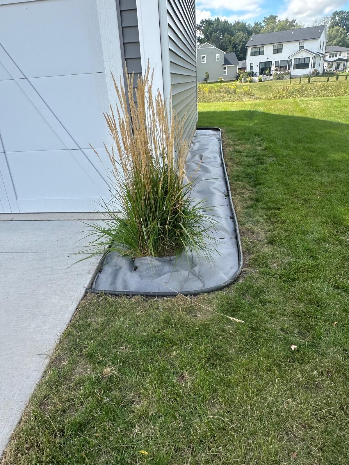 A grassy area next to a home exterior featuring a single ornamental grass plant inside a bordered, fabric-covered bed.