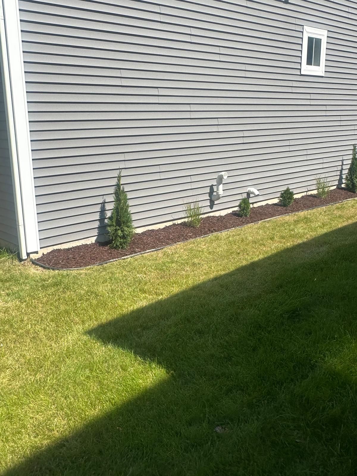 Gray siding of a house with a garden bed featuring mulch and small evergreen shrubs along the foundation.
