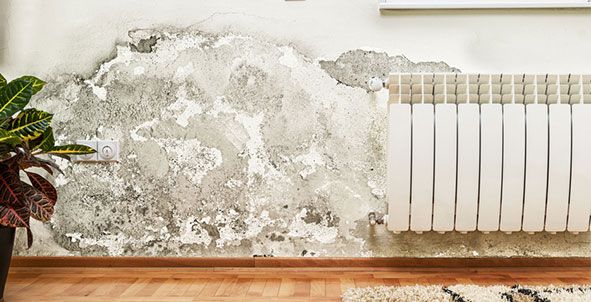 a living room with a radiator and a wall with mold on it .