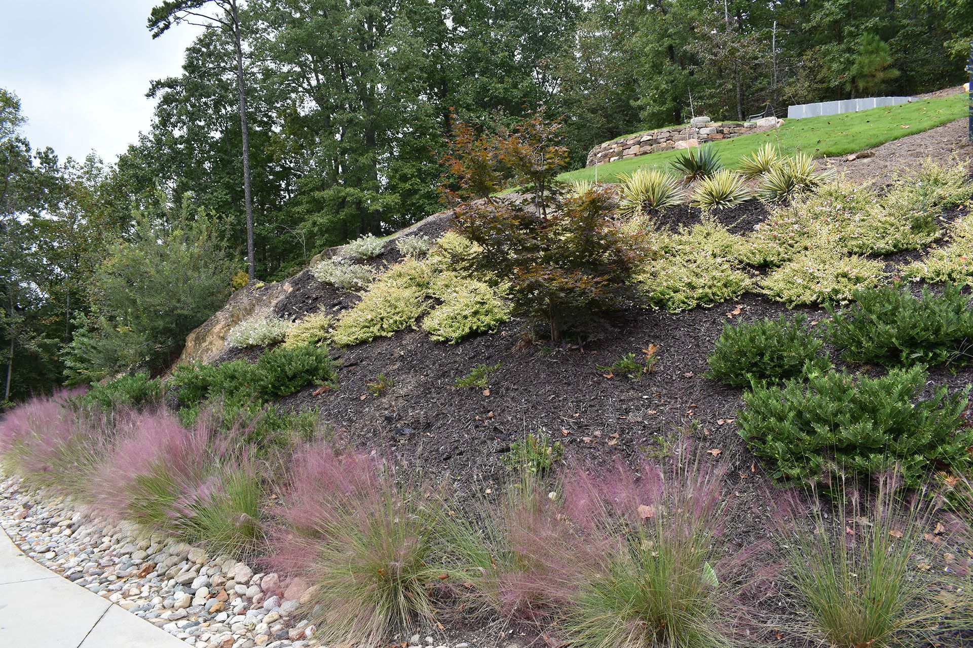 Slope with various plants and shrubs, featuring pink grasses and yellow-green foliage.