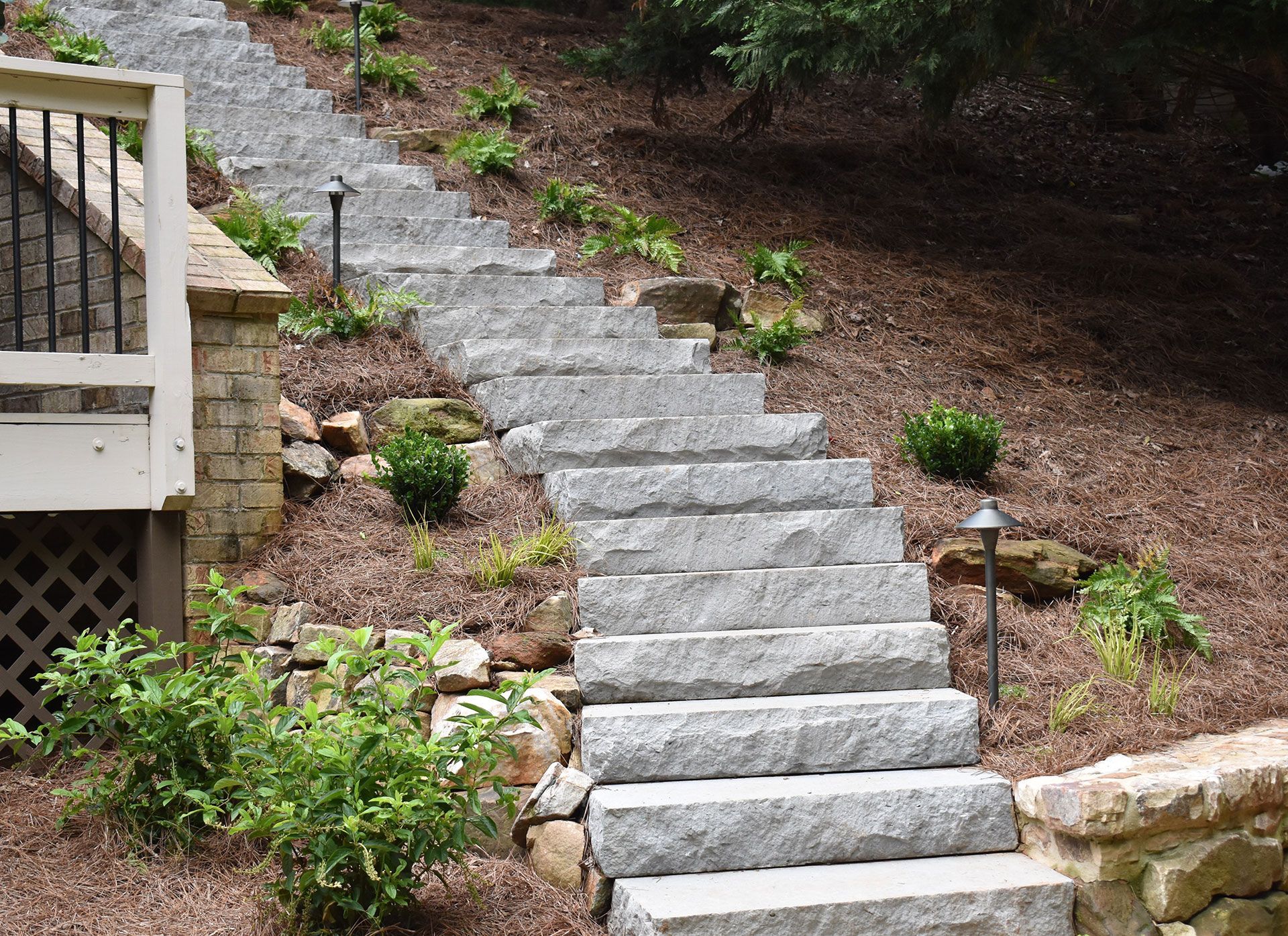 Stone steps ascend a sloped, landscaped yard.