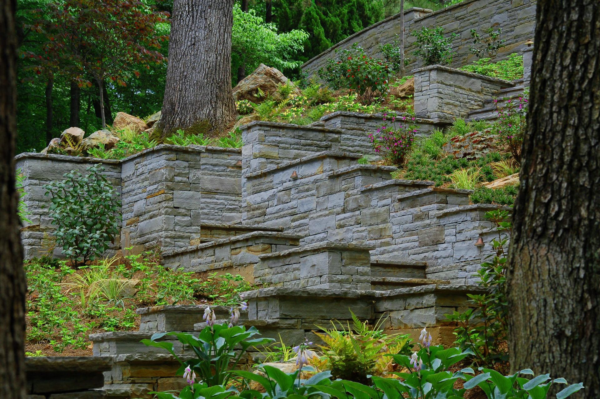 Stone steps terraced into a hillside, surrounded by greenery and trees.