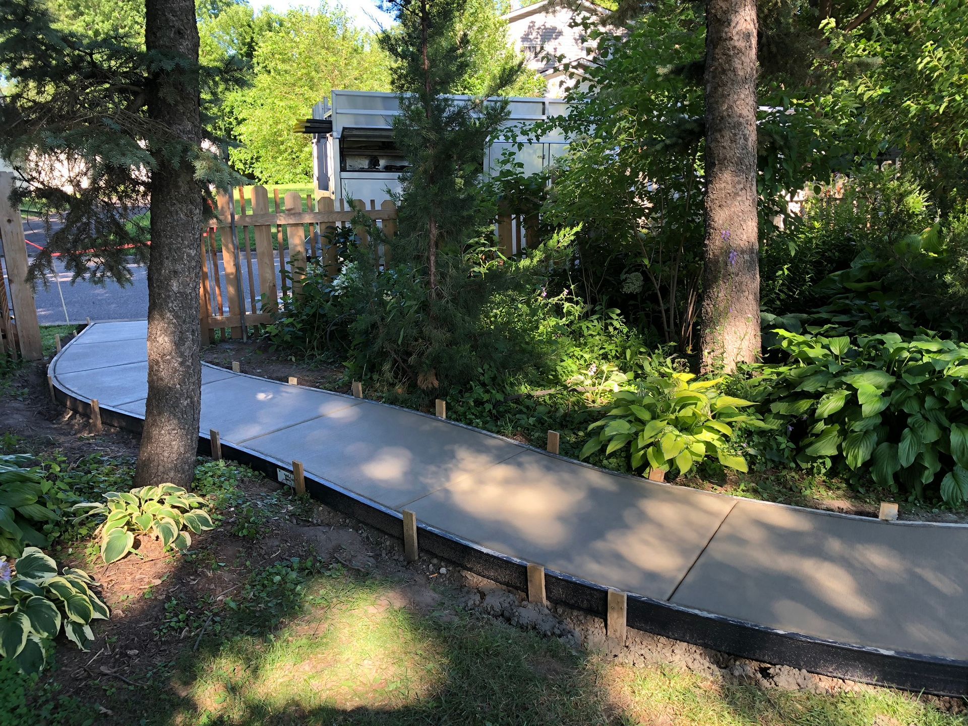 A new concrete sidewalk curves through a lush green yard, framed by wooden stakes and black edging between two trees.