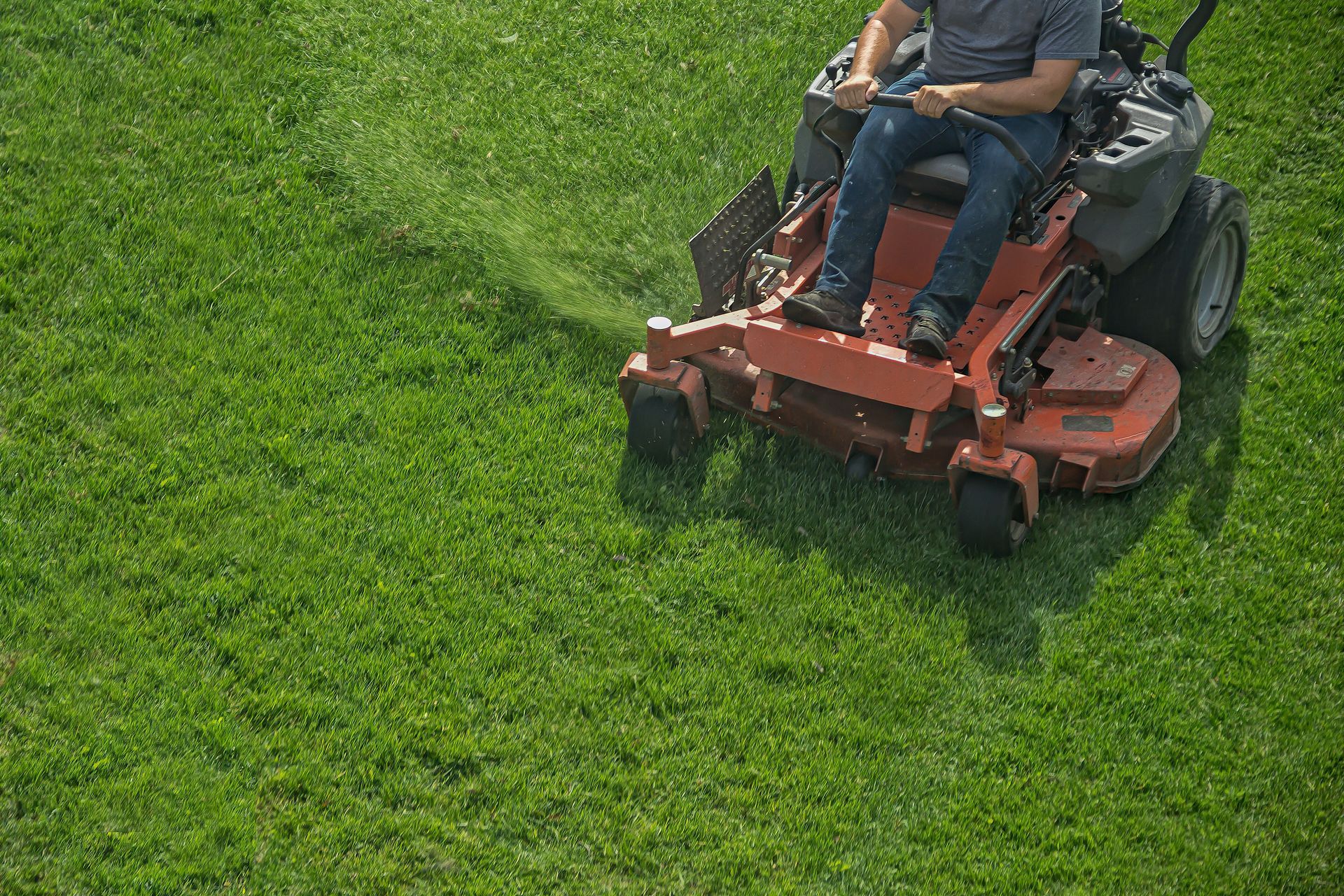 Your Complete Guide to Commercial Lawn Care Services