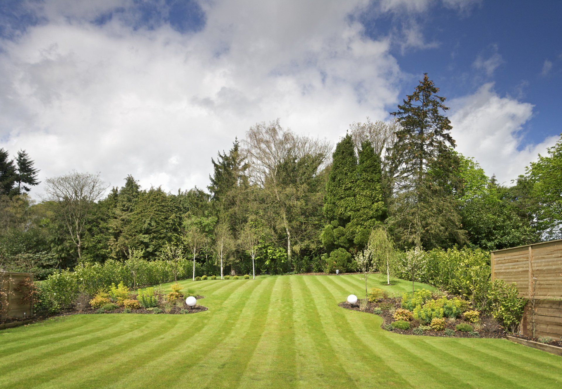 A lush green lawn with trees in the background
