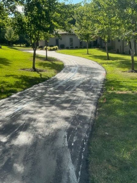 Asphalt driveway curves through a green grassy yard, lined with trees.