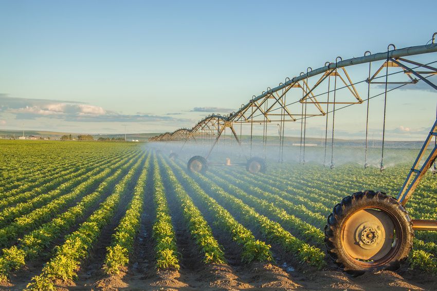 Irrigation system watering a field of crops under a blue sky.
