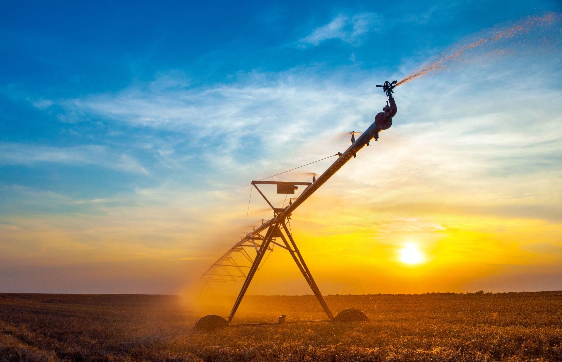 Irrigation system spraying water on a field at sunset; golden light, blue sky. 