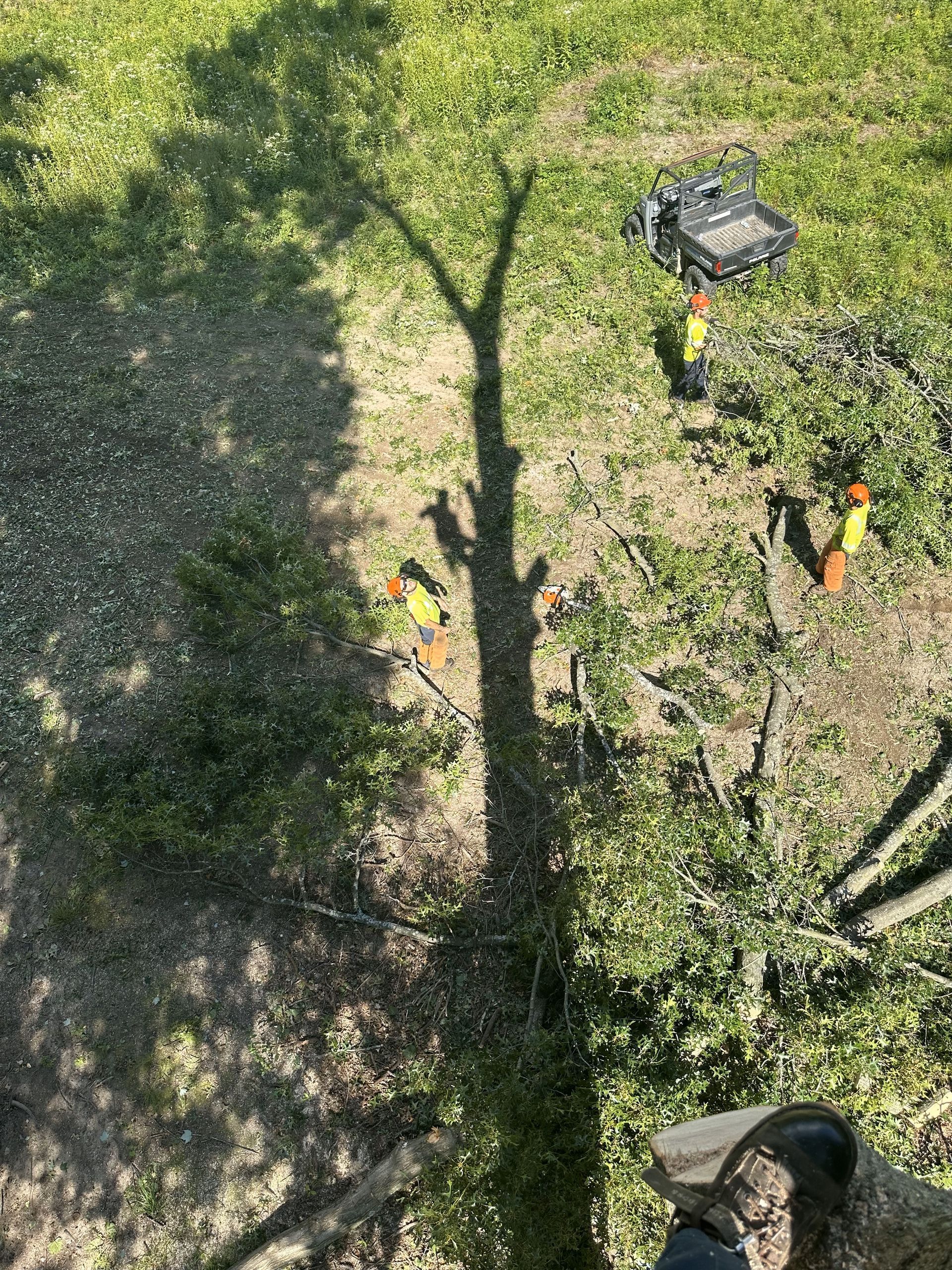 A person is standing in the shade of a tree.