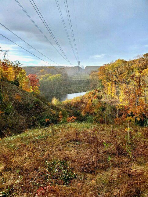A view of a valley with trees and power lines in the background.