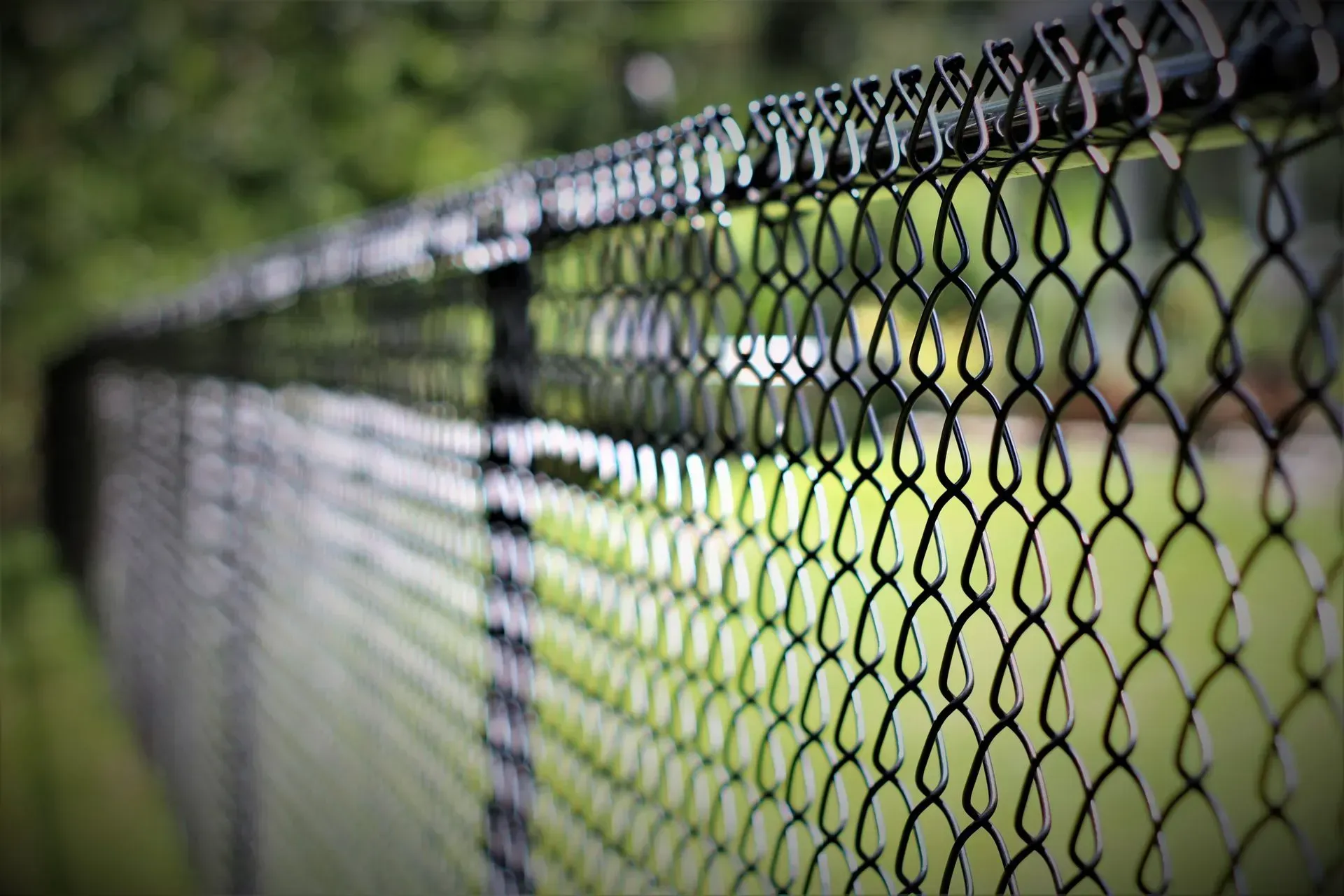 Black chain-link fence in sharp focus against a blurred green background.