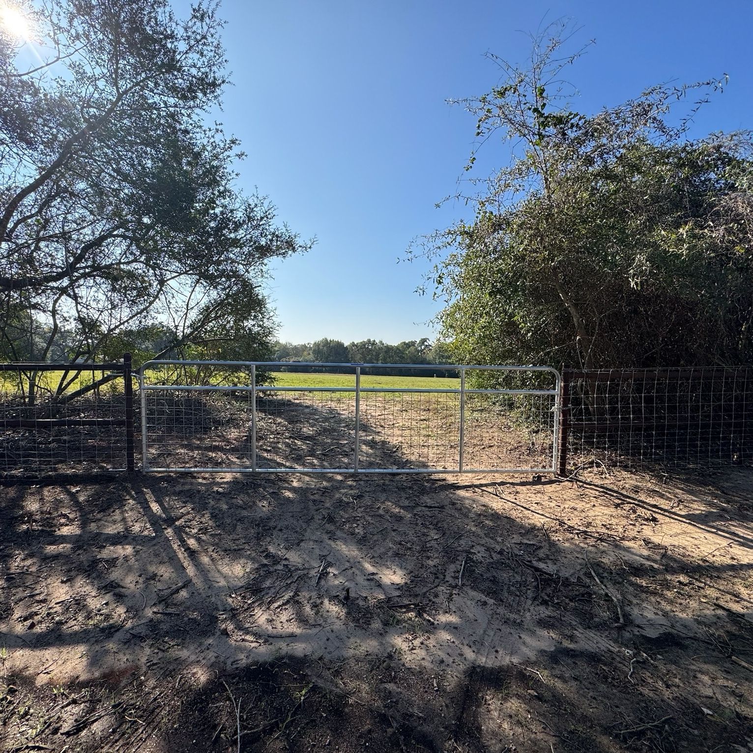 Metal gate leading to a grassy field, flanked by trees and a sunny sky.