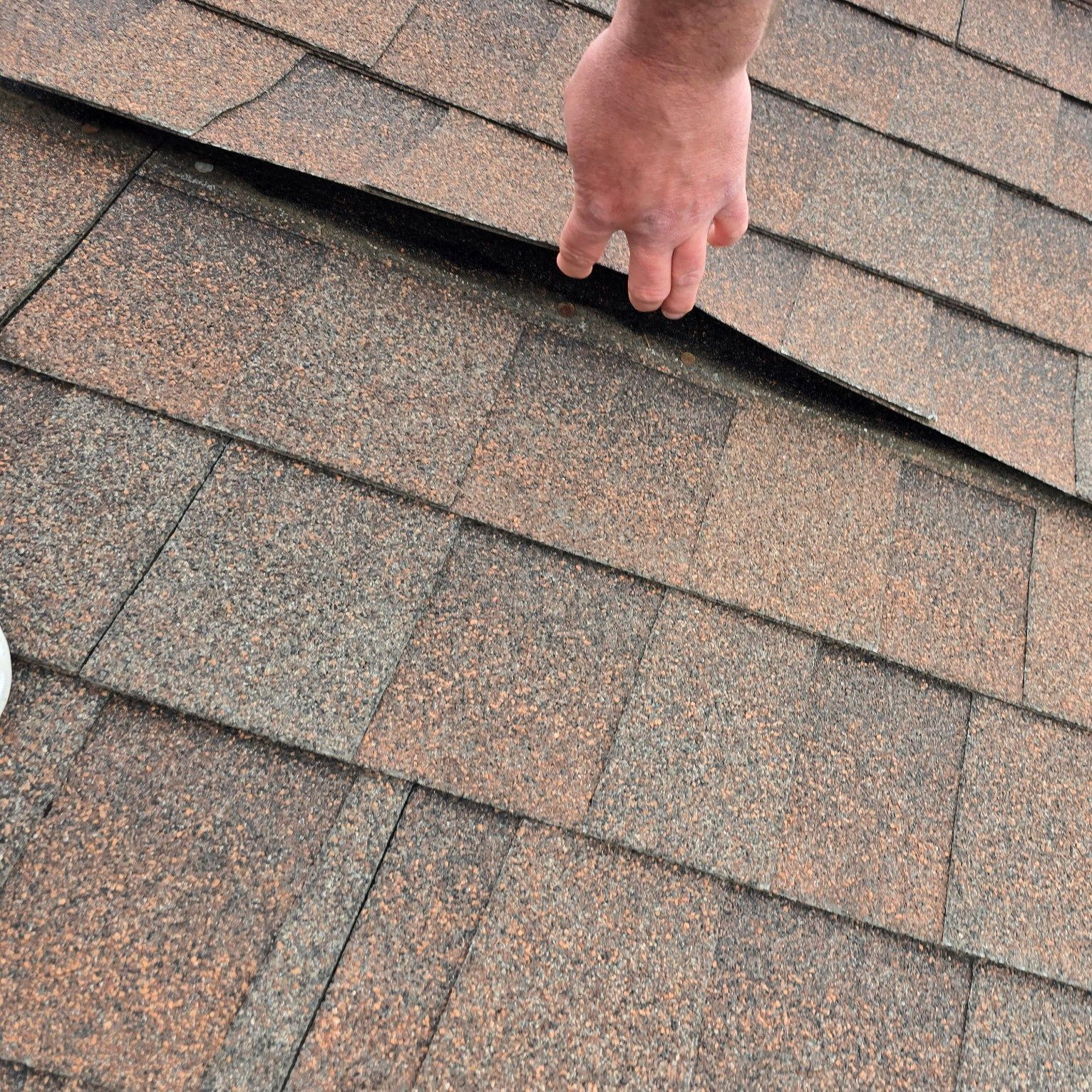 Hand touching a warped, brown asphalt shingle roof.