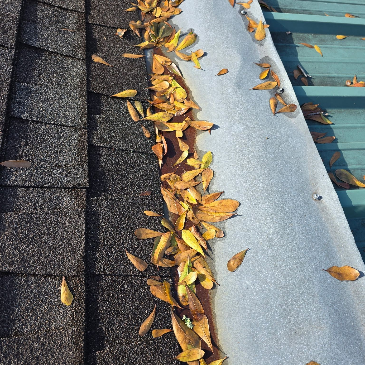 Leaves and debris in the valley of a roof where shingles and metal meet.