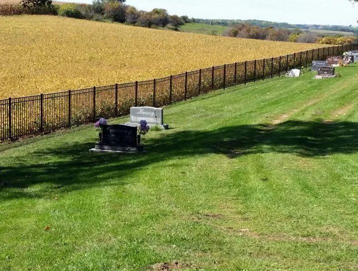 Cemetery with headstones and black fence next to a field of yellow plants on a sunny day.