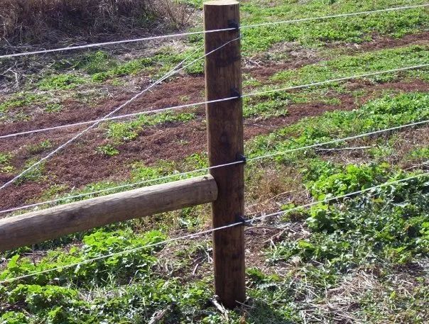 Wooden fence post with horizontal rail and wire fencing, in a grassy field.