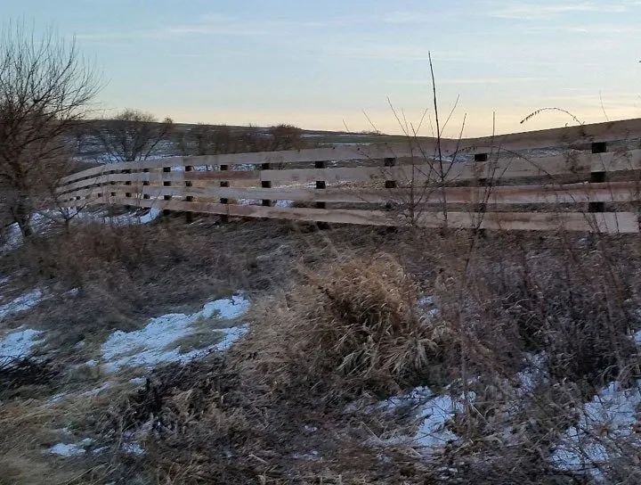 Wooden fence curving along a snowy, grassy landscape.