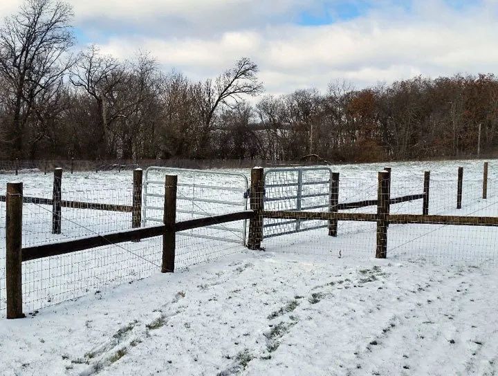 Snow-covered field with a metal gate and wooden fence. Trees line the background under a cloudy sky.