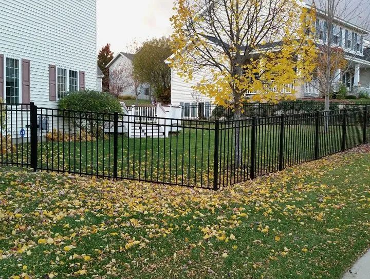 Black metal fence surrounding a yard with grass and fallen yellow leaves, houses in background.