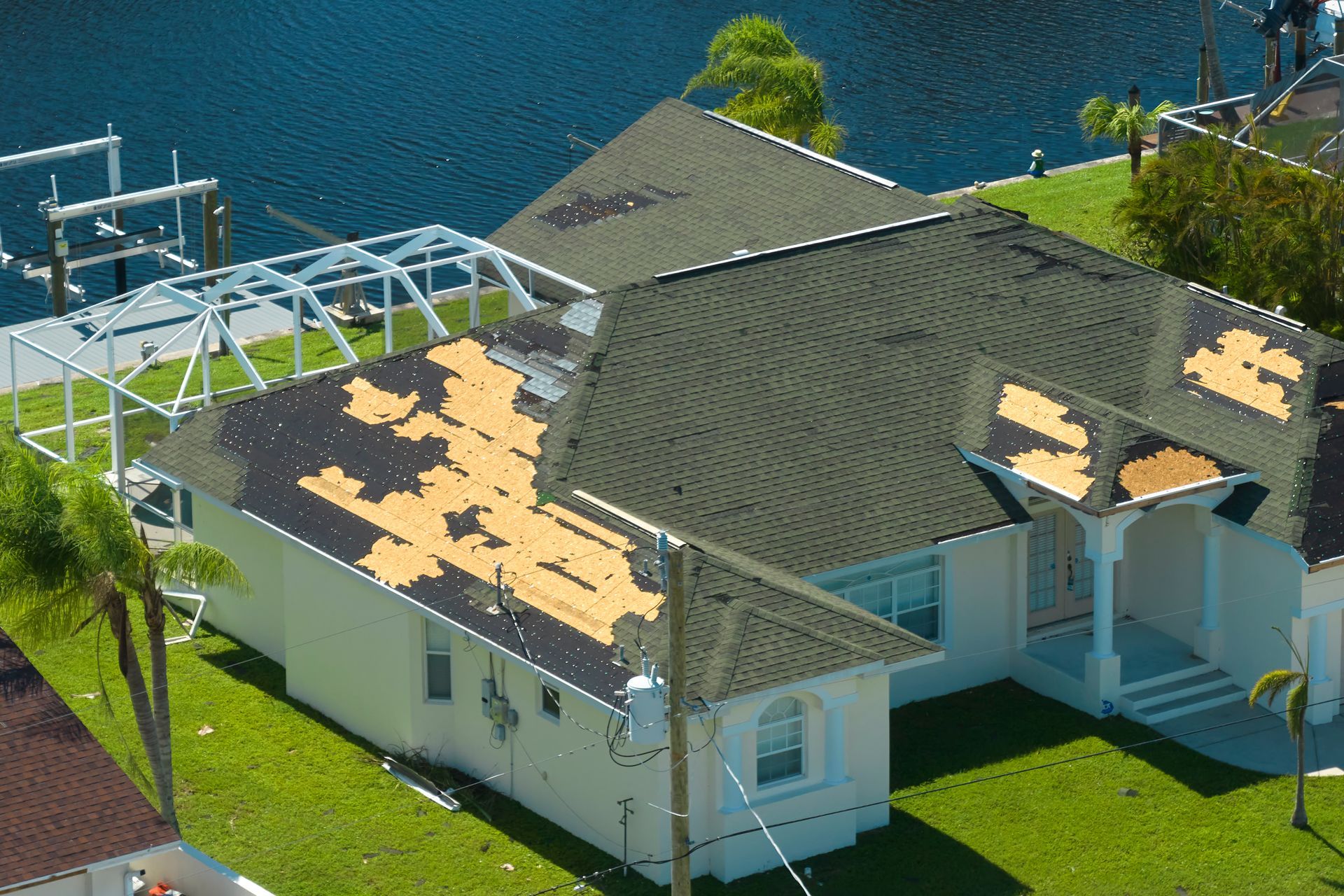 Beautiful roof