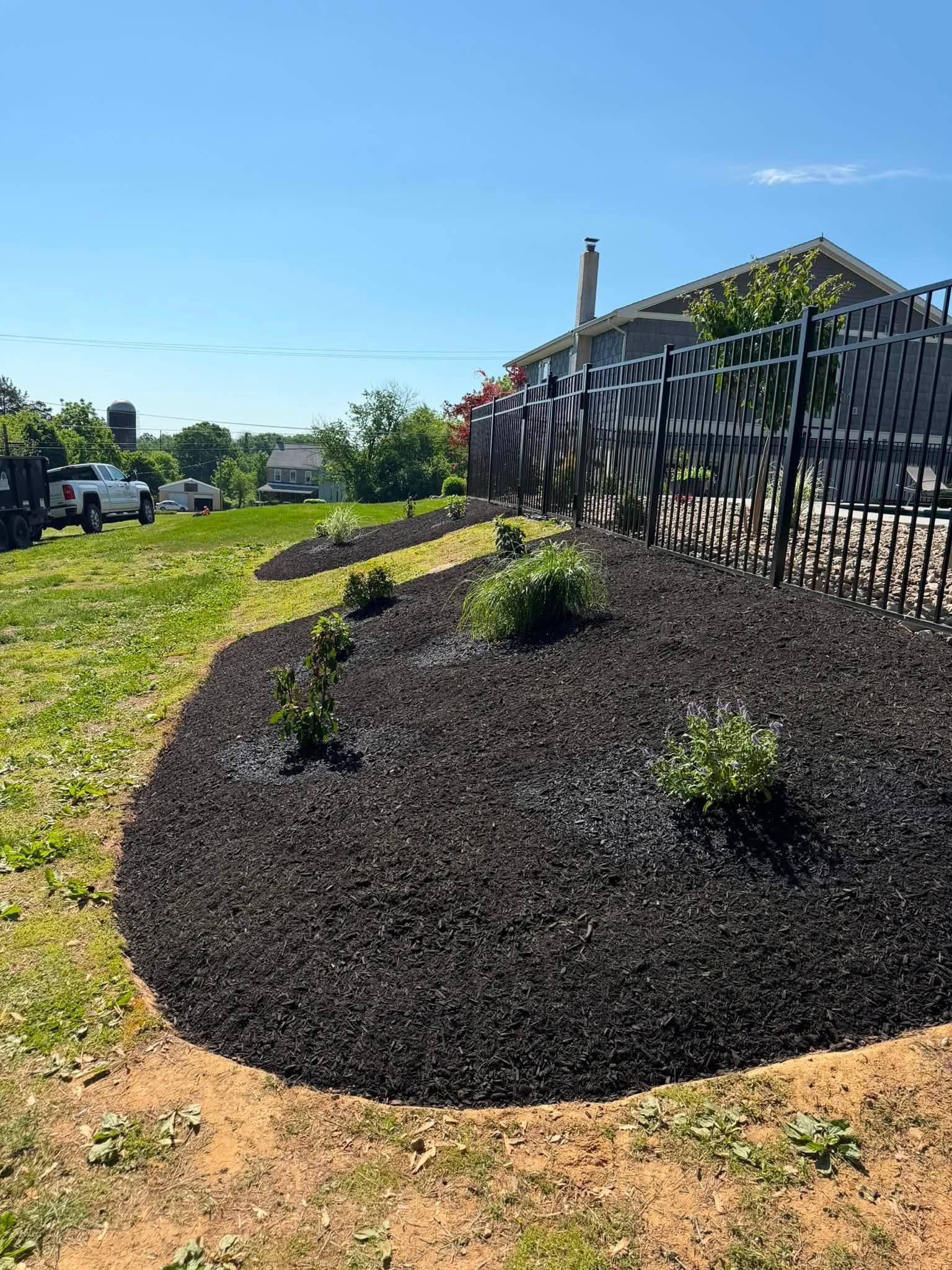 Mulched garden bed with small shrubs beside a metal fence on a sunny day