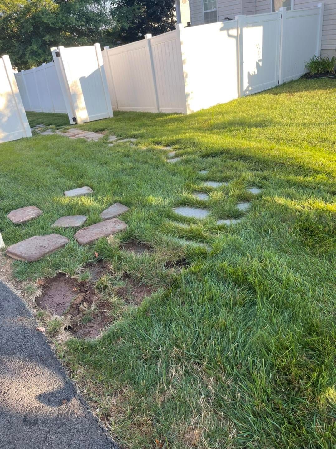 Patchy grass beside a paved path with stepping stones and a white fence in a sunny yard