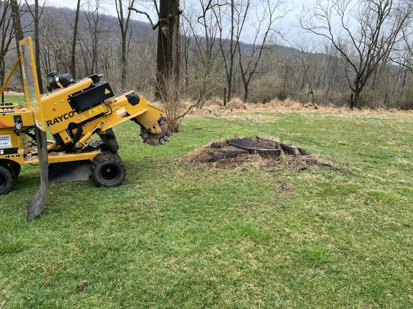 Yellow utility loader beside a small dirt mound on a grassy field with bare trees in the background