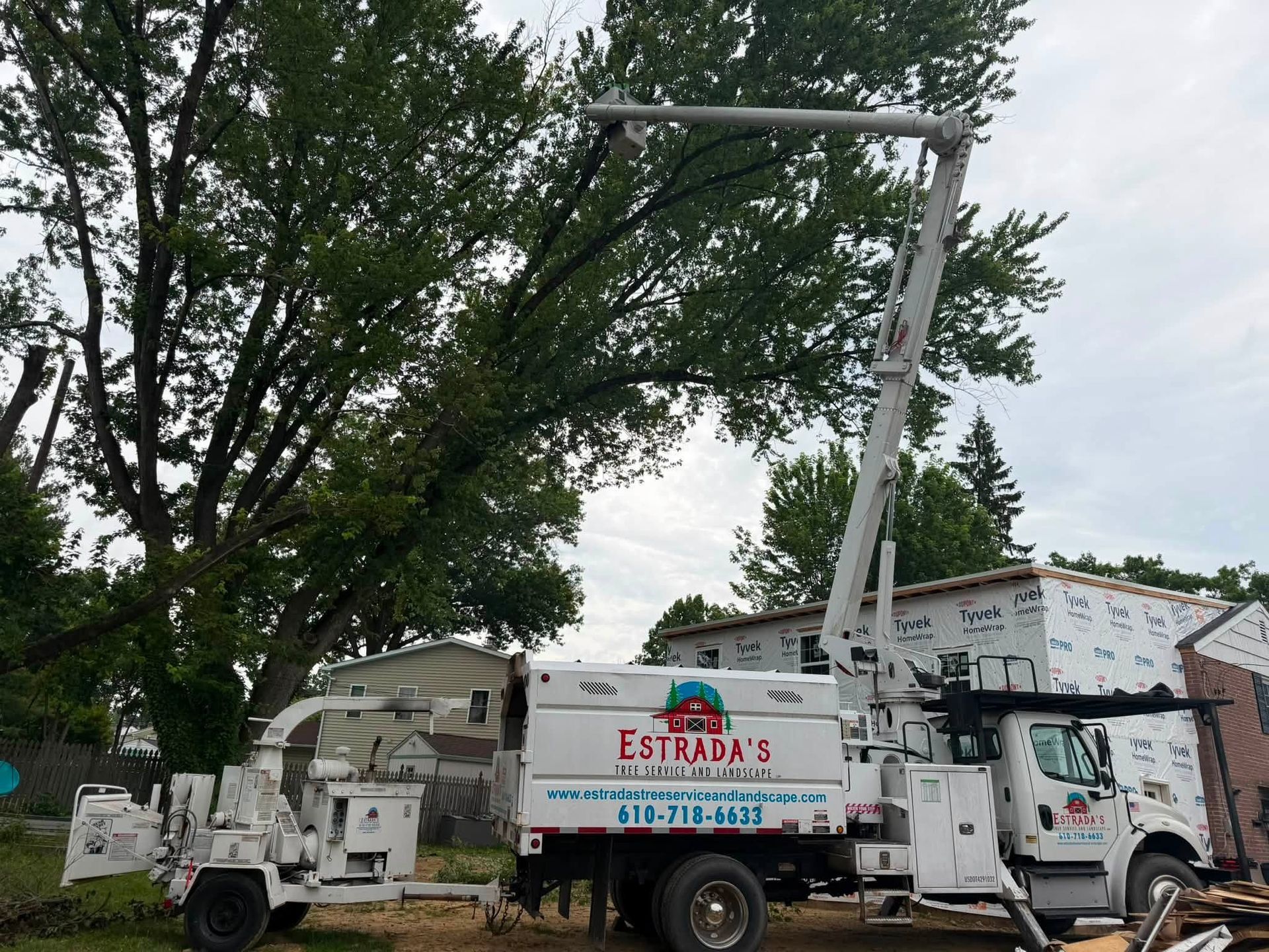 Utility trucks working under trees near a white building on a cloudy day