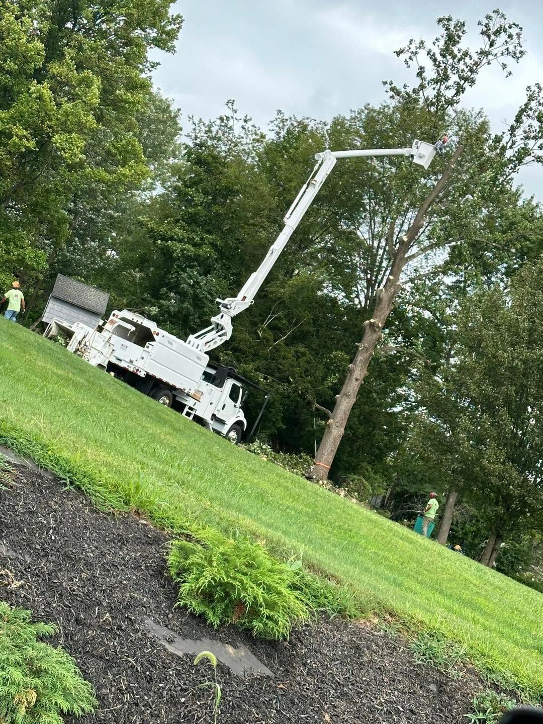 White utility truck with a bucket lift in a grassy park beside trees and a mulched slope
