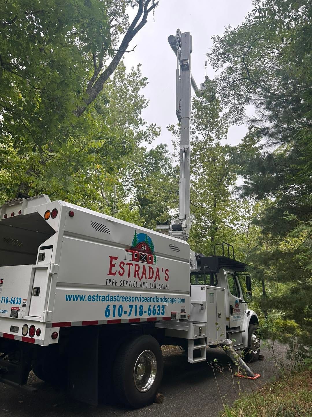 Tree service truck with bucket lift working among tall trees on a wooded roadside