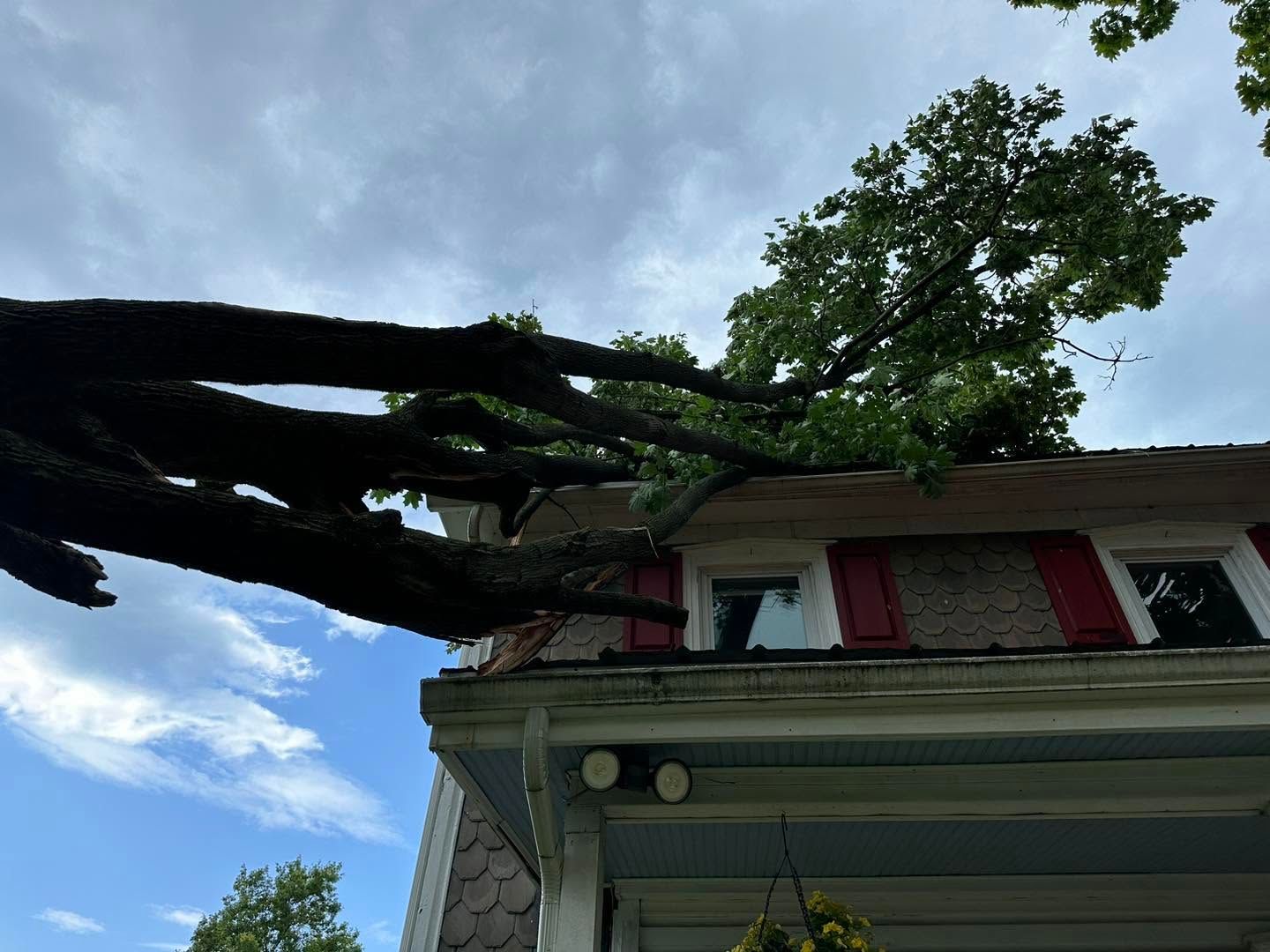 Large tree branch resting on a house roof under a cloudy sky