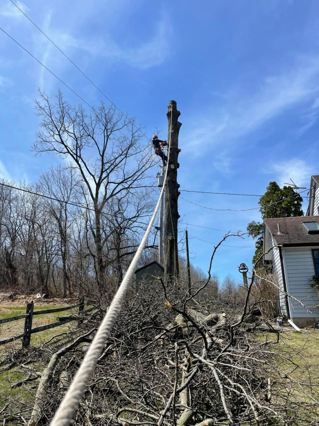 Broken utility pole leaning over a yard with fallen branches and a damaged house under a blue sky