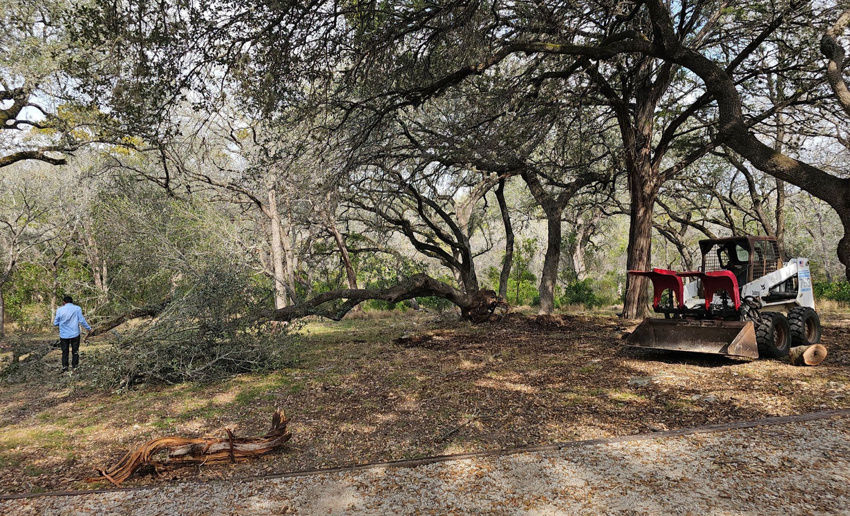 Skid steer and worker clearing brush in a wooded area with mature trees.