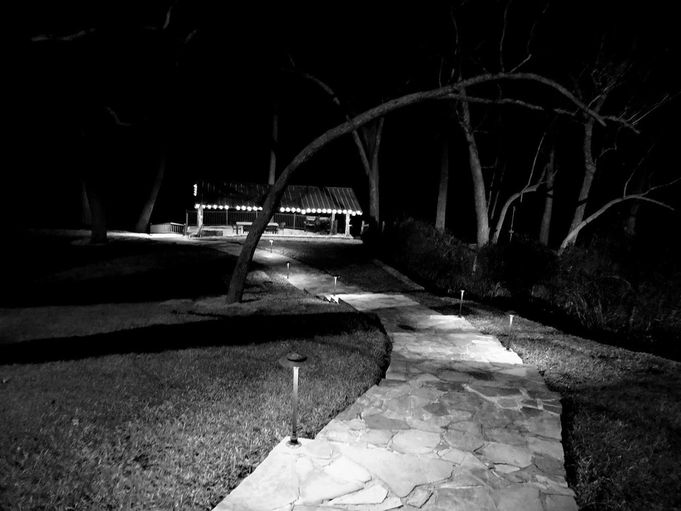 Stone path lit by ground lights leads to a covered structure at night, surrounded by trees.