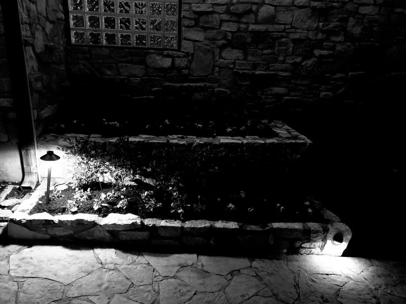 Black and white photo of a garden bed illuminated by spotlights in front of a stone wall.