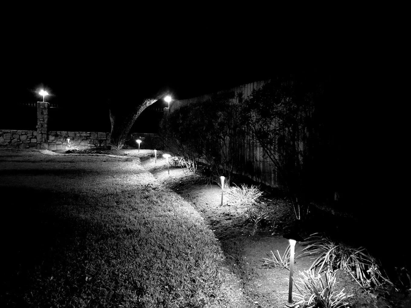 Nighttime garden scene illuminated by path lights and overhead lamps.