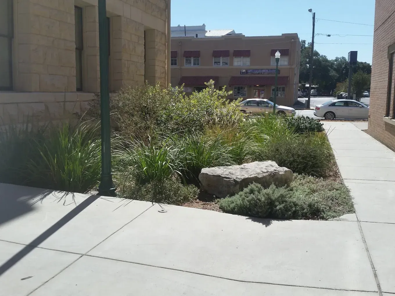 Sidewalk garden with green plants and a large stone. Buildings are in the background, along with cars.