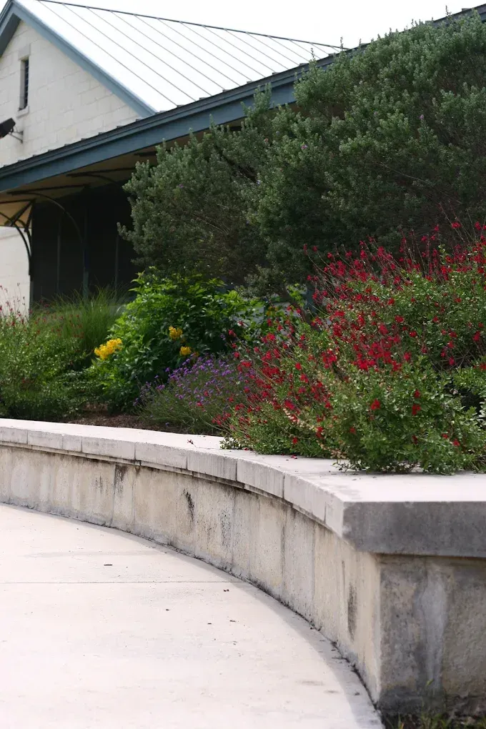 Curving concrete wall in front of a garden bed with red and green plants, near a white building with a dark awning.