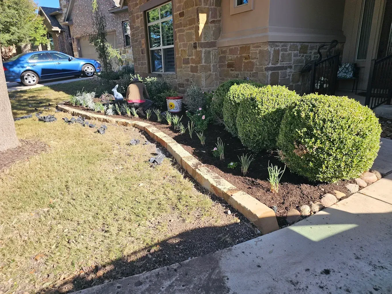 Landscaped front yard with green bushes and newly planted flowers beside a house with a blue car parked.
