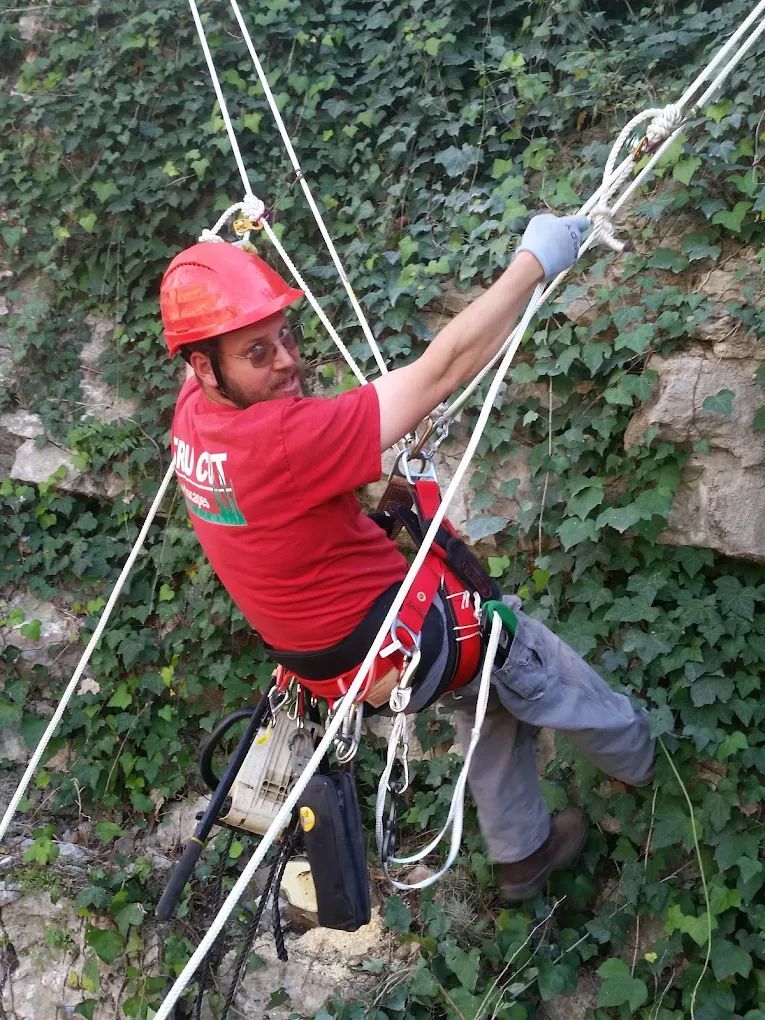 Person in red shirt and helmet rappelling down a cliff, utilizing safety harness and ropes. Ivy-covered rock face in background.