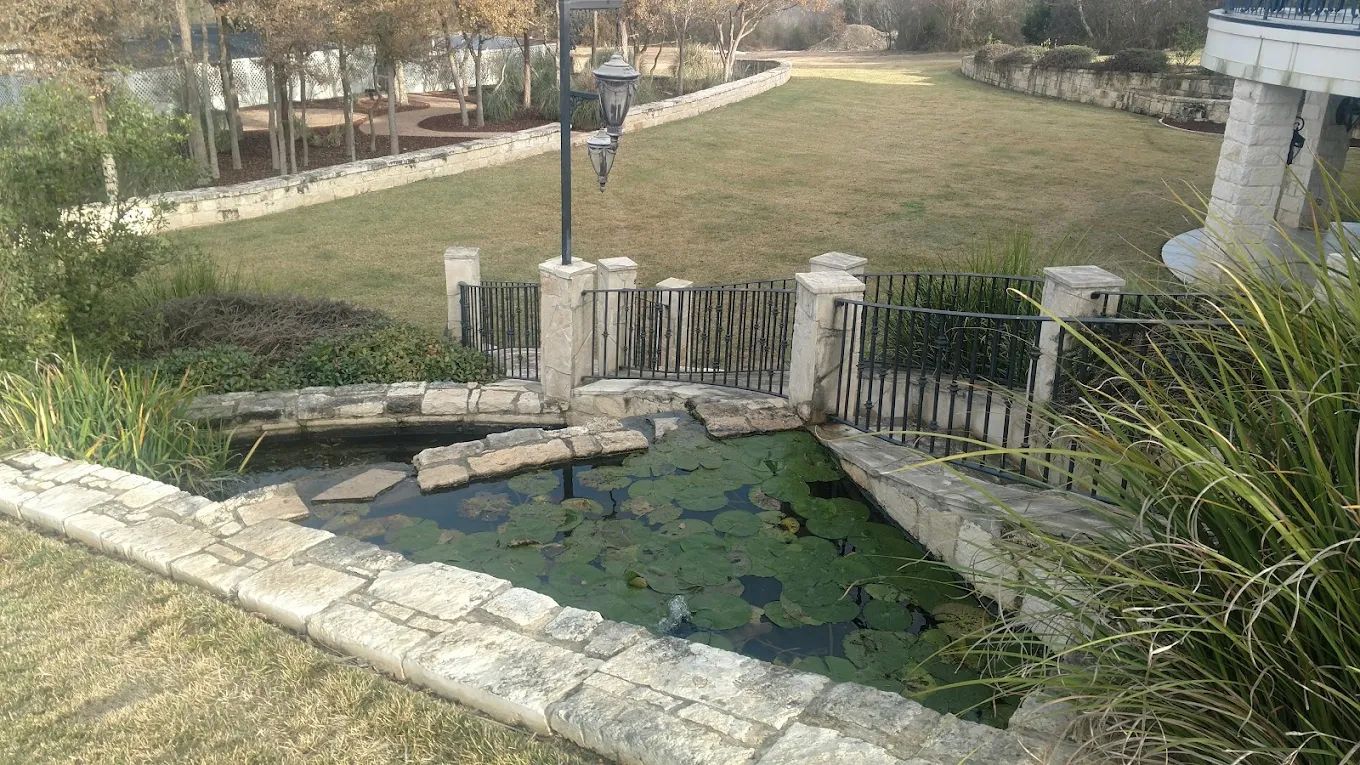 A small, algae-covered pond in a stone-walled garden with a wooden fence and grass lawn.