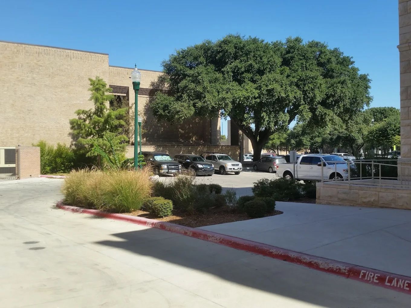 Parking area next to a building with vehicles and a large tree.