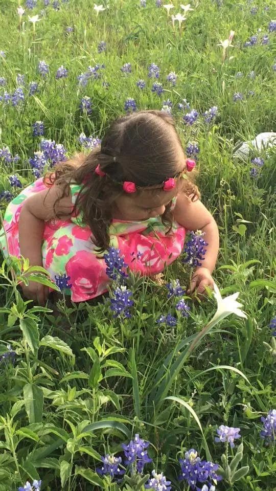 Young child in floral dress among bluebonnets and white lilies, reaching for a flower.