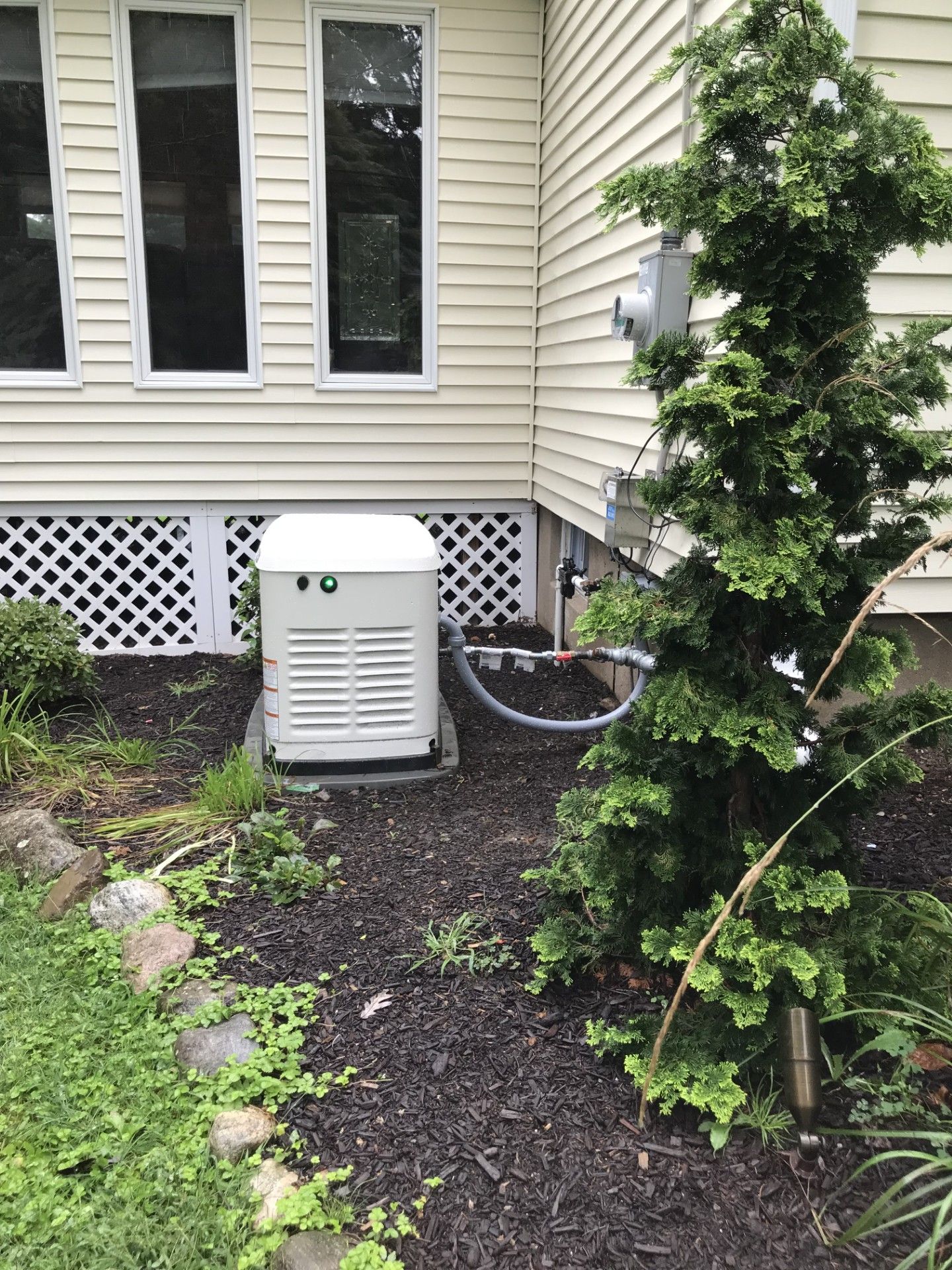 A white backup generator sits on mulch next to a house foundation, with a tall, spiraled evergreen tree to its right.